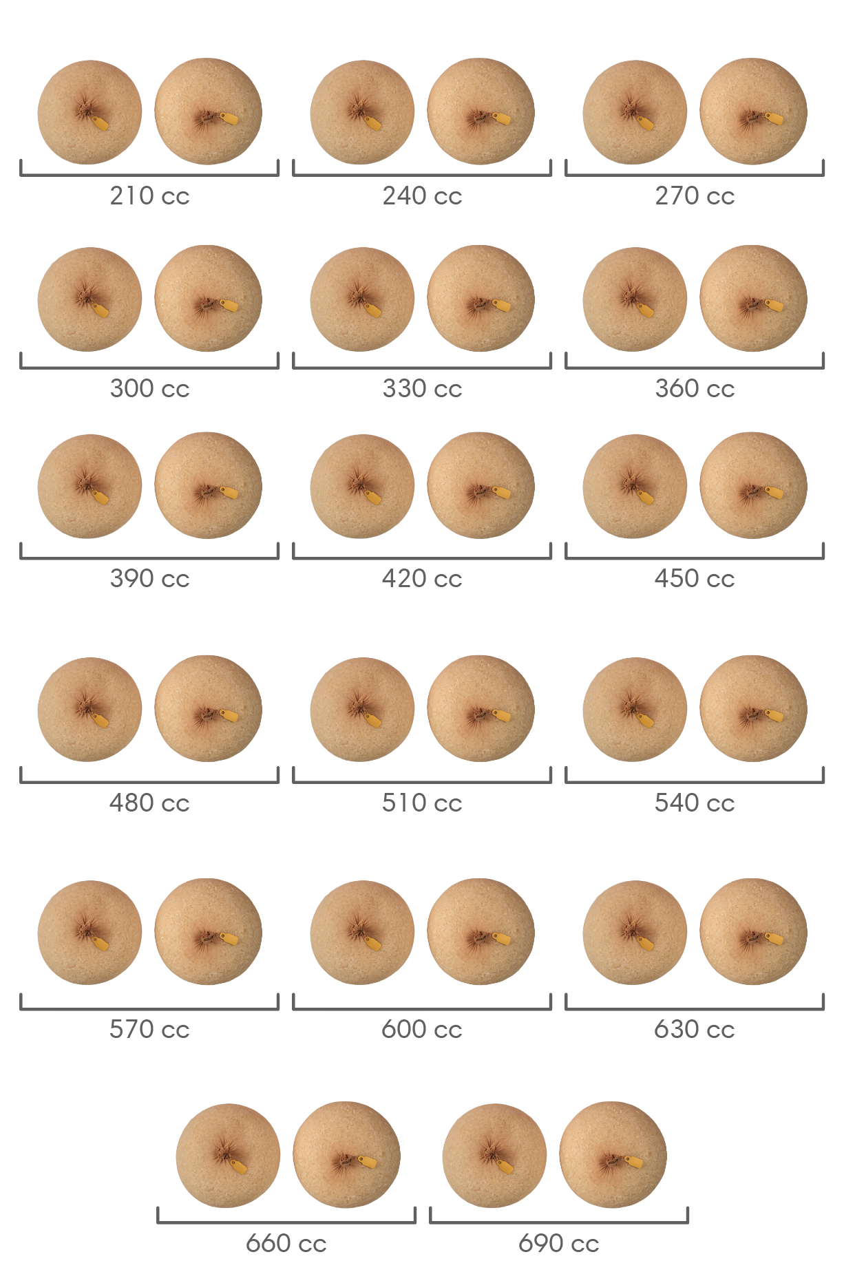 Bra Inserts Master Set (Rice Sizers)