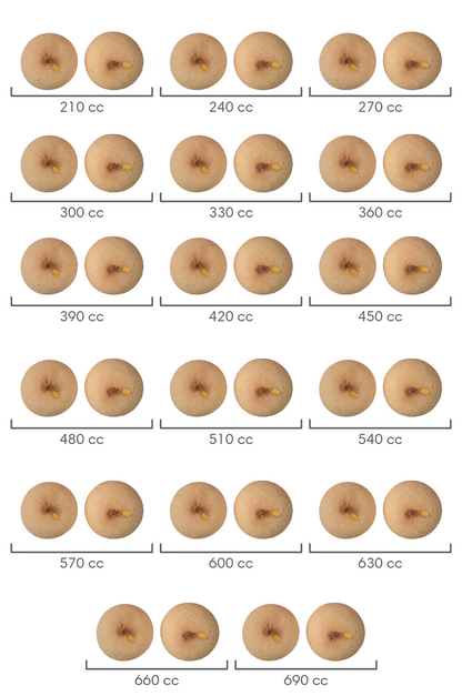 Bra Inserts Master Set (Rice Sizers)