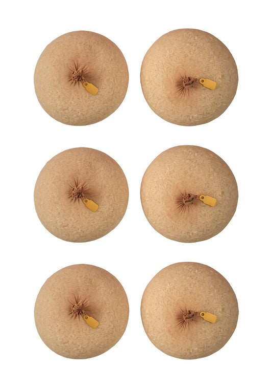 Six brown rice sacks with yellow tags on a white background